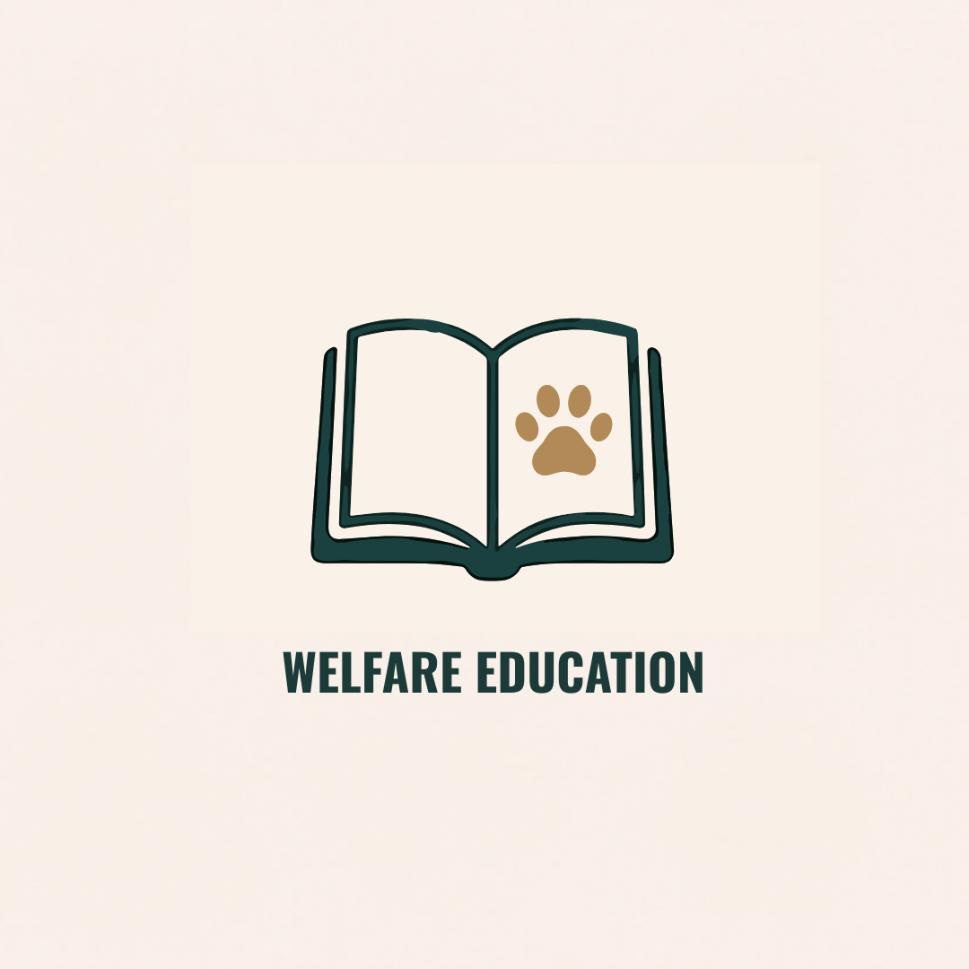 Welfare Education