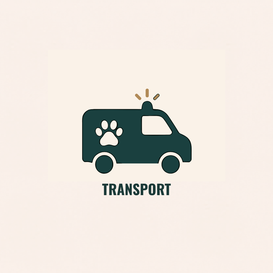 Transport