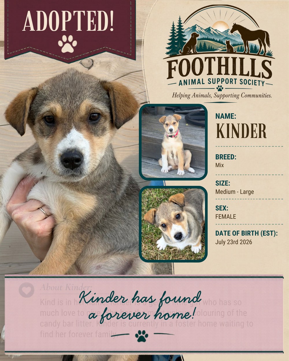 Kinder has been adopted into a forever home