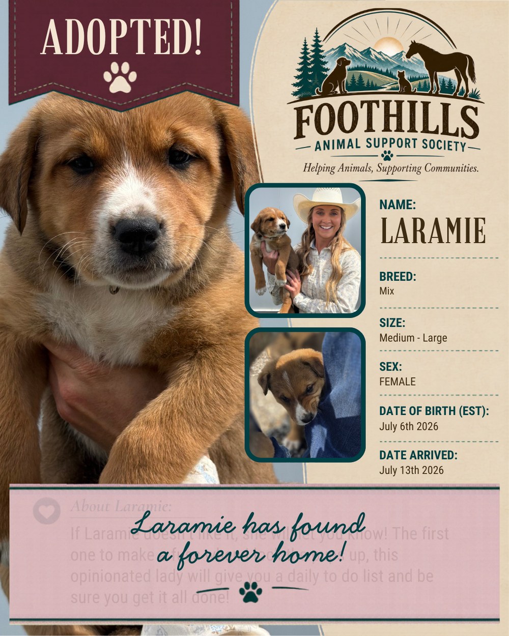 Laramie has been adopted into a forever home