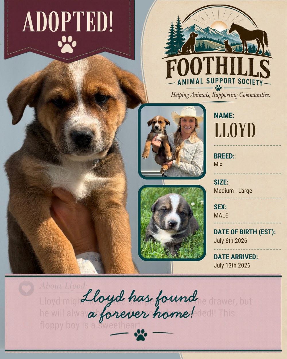 Lloyd has been adopted into a forever home