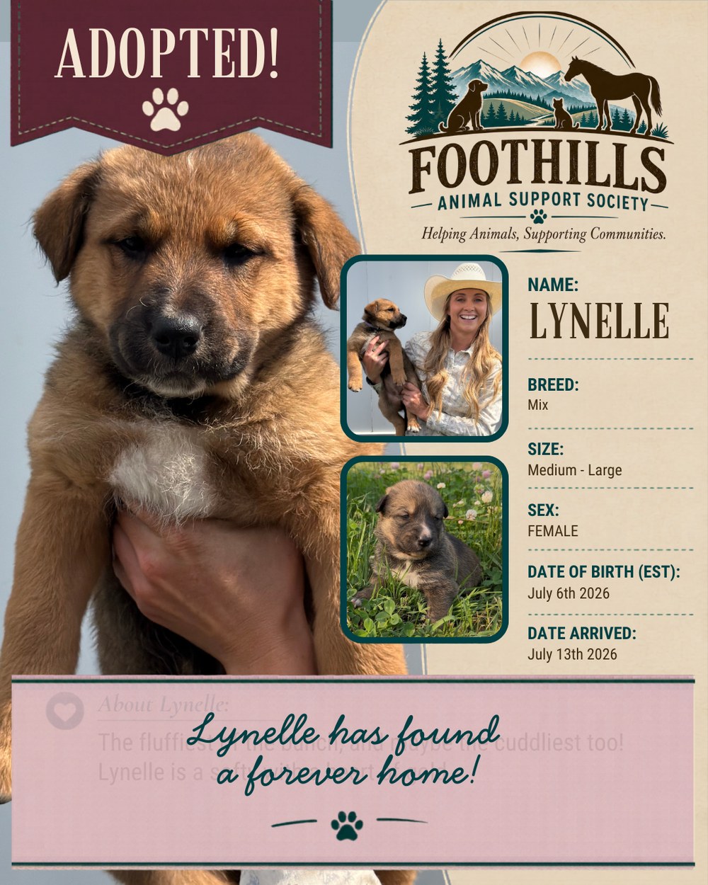 Lynelle has been adopted into a forever home