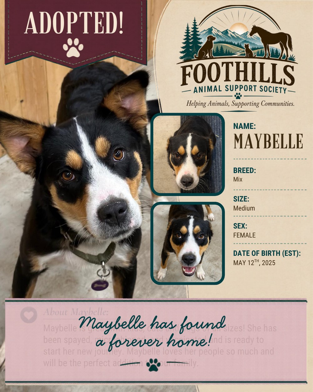 Maybelle has been adopted into a forever home