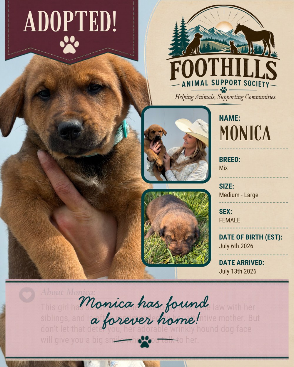 Monica has been adopted into a forever home