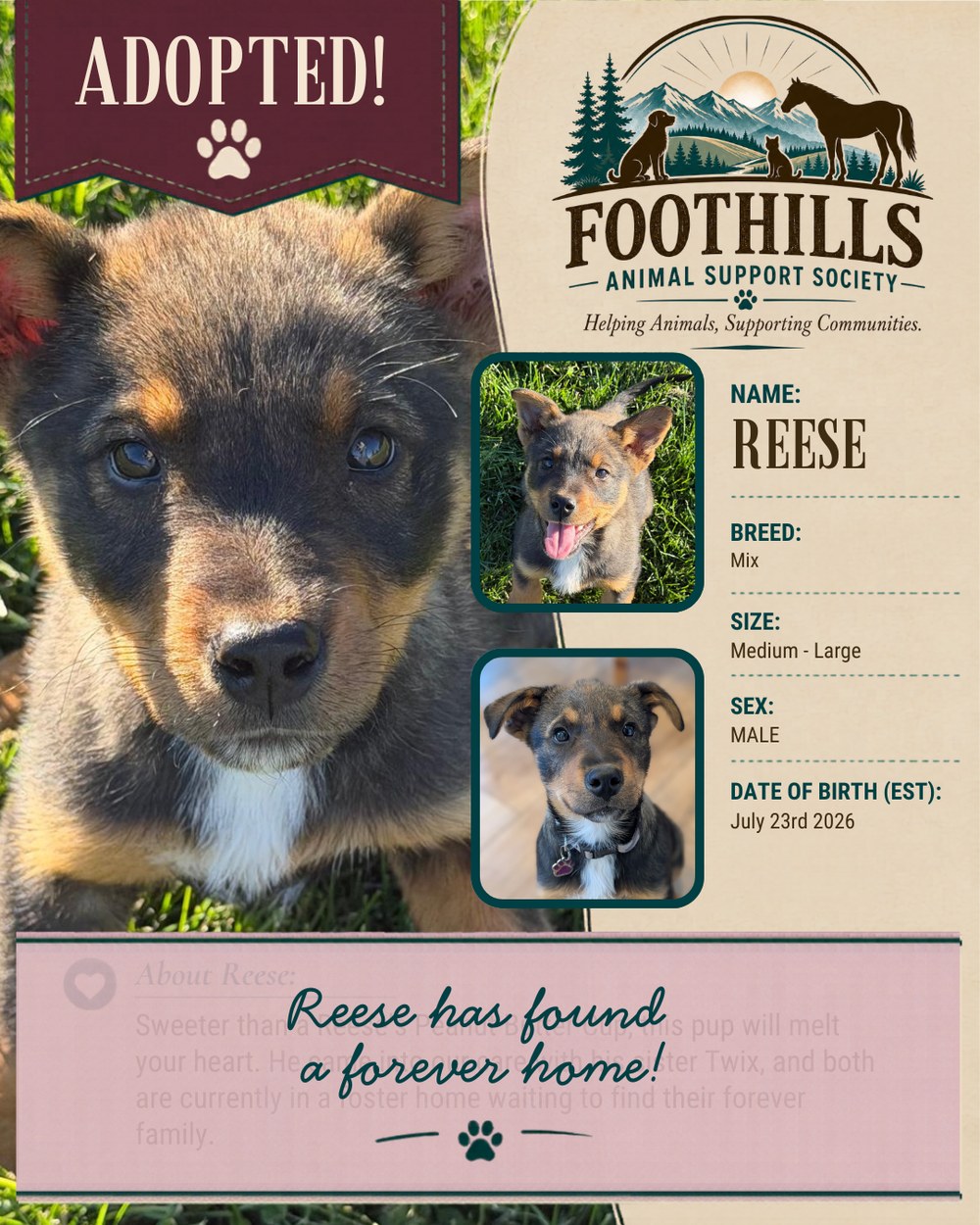 Reese has been adopted into a forever home