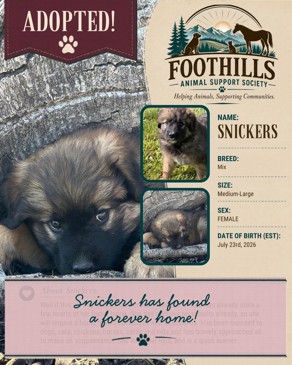 Snickers has been adopted into a forever home