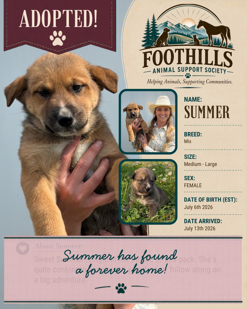Summer has been adopted into a forever home