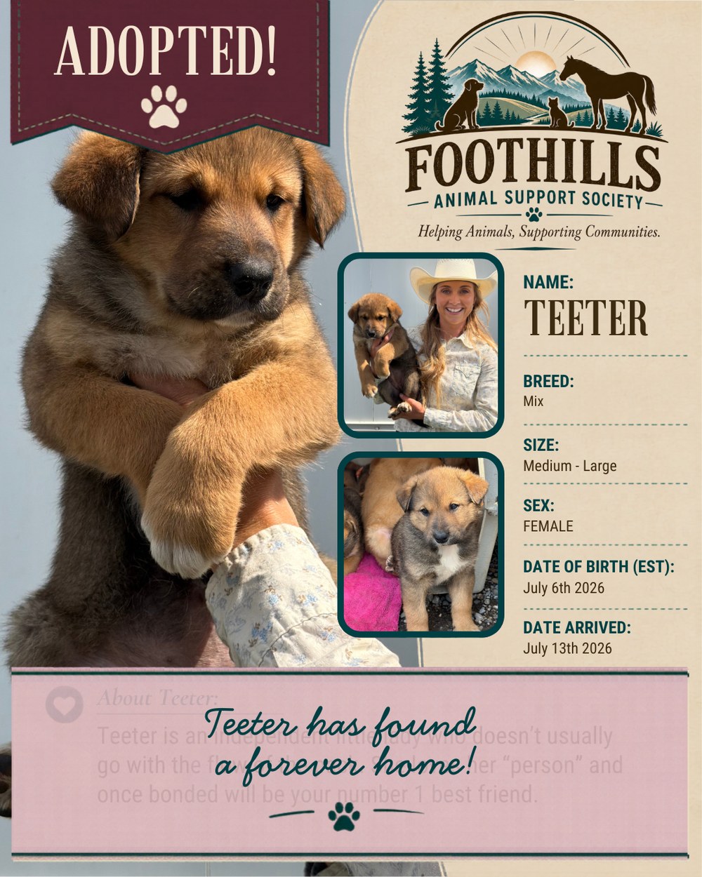 Teeter has been adopted into a forever home