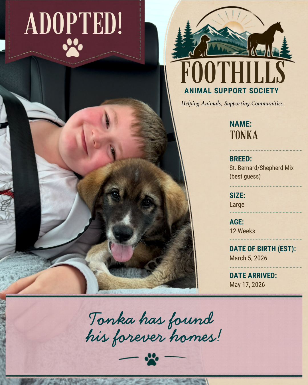 Tonka with his new best friend